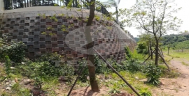 太阳城官网·tyc(中国)集团有限公司