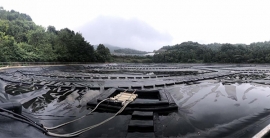 太阳城官网·tyc(中国)集团有限公司